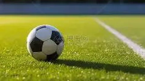 香港乒乓队斩获混合团体世界杯铜奖
